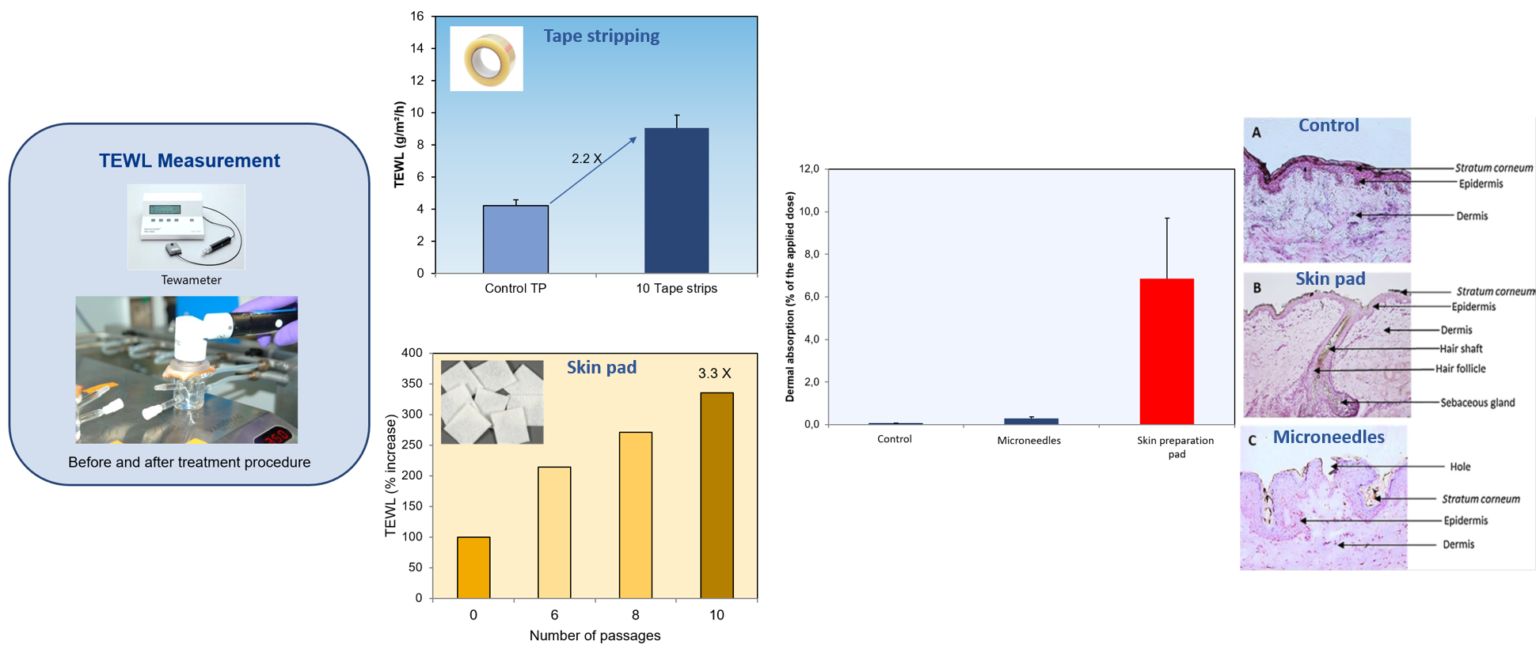 In Vitro Permeation Testing Ivpt Pkderm